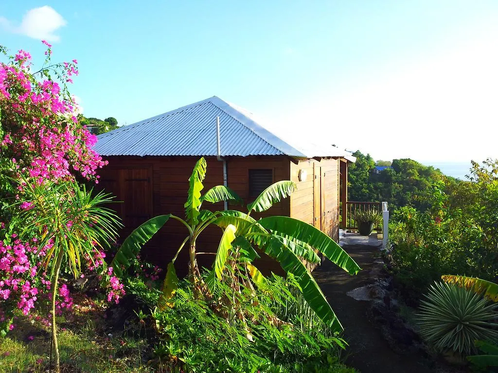 Gites Alamanda Bouillante Guadeloupe